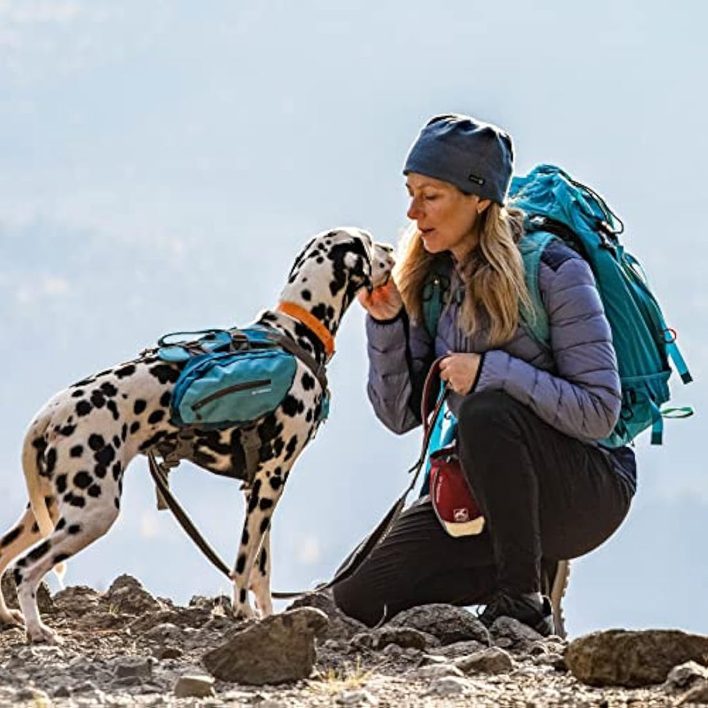 Kurgo Go Stuff-It Dog Treat Bag | Reflective Hands-Free Training Pouch