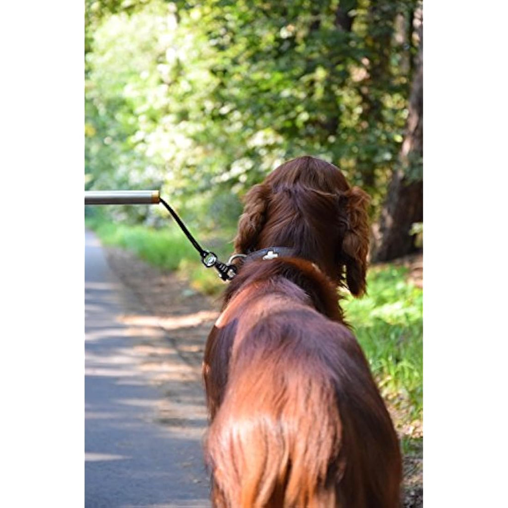 Walky Dog Plus Dog Bicycle Lead – Stainless Steel Shock Absorbing Leash