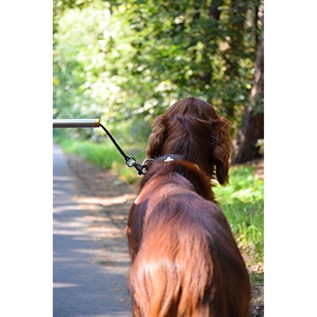 Walky Dog Plus Dog Bicycle Lead – Stainless Steel Shock Absorbing Leash