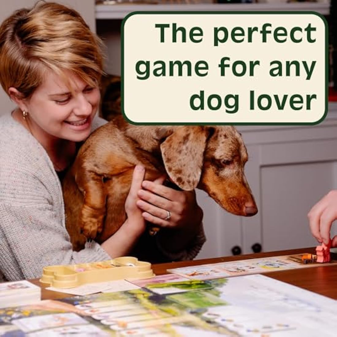 Dog Park Strategy Board Game by Birdwood Games | Family Dog Walking Game