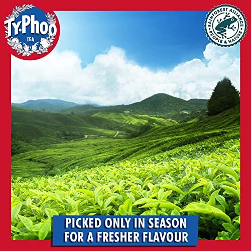 Typhoo English Breakfast Tea Bags – Bulk Case of 8 x 240 Teabags