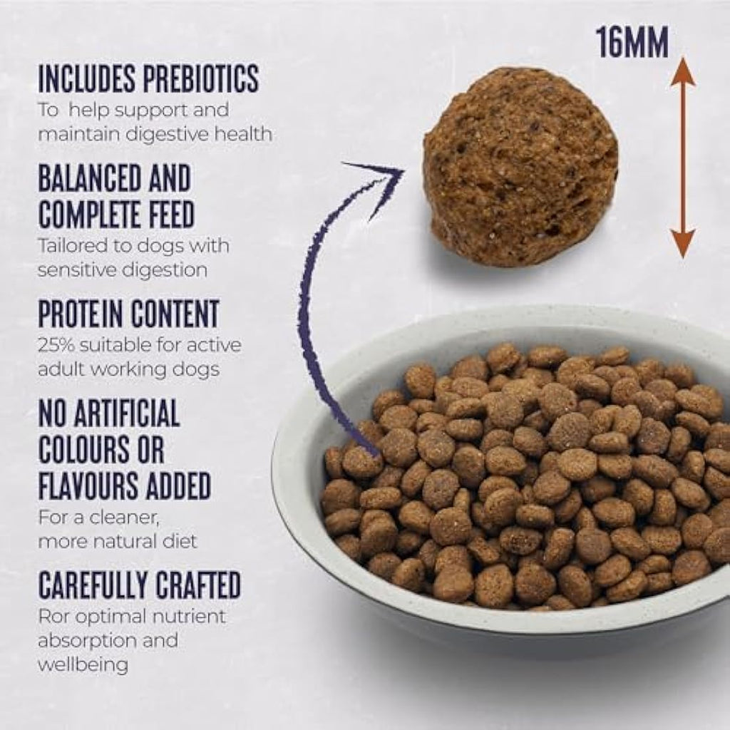 Alpha Sensitive Duck and Rice Hypoallergenic Dry Dog Food - 15kg
