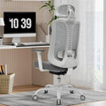 Magic Life Ergonomic Office Chair - Mesh Desk Chair with Lumbar Support