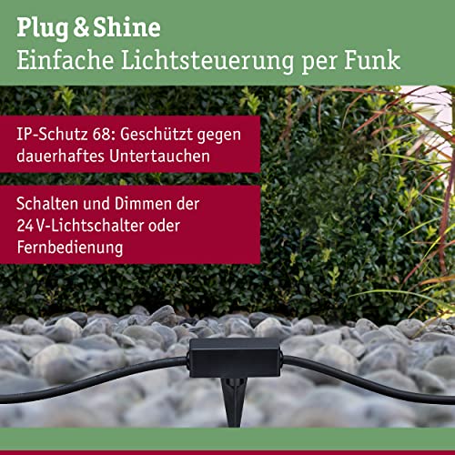 Plug & Shine Outdoor Controller | IP68 Remote Dimmer