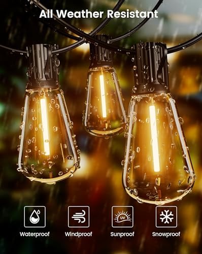 Torkase 120FT Outdoor Festoon Lights | 60 Shatterproof LED Edison Bulbs