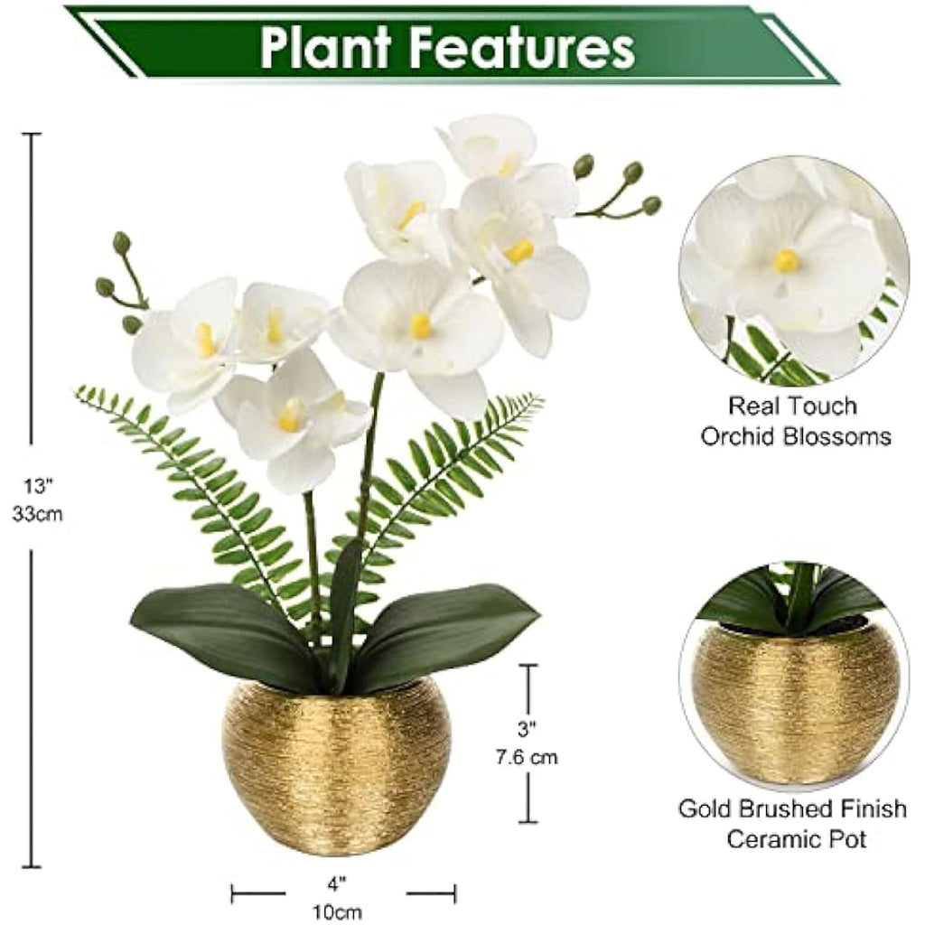 White Artificial Orchid Plant | Real Touch Potted Flowers
