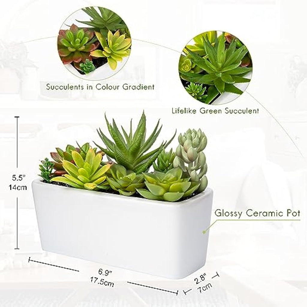 Briful Artificial Succulents in White Ceramic Pot - Faux Potted Plants