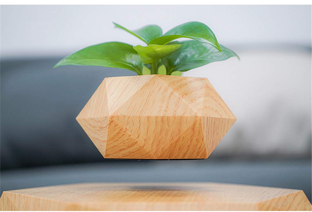Jolof Store Magnetic Levitation Floating Air Bonsai Pot for Desk Decor