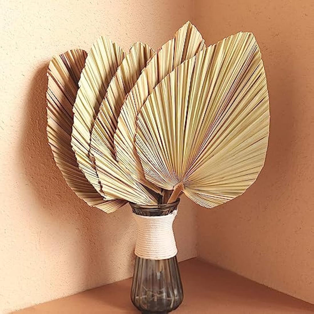 Jolof Store Natural Dried Palm Leaves – 5Pcs Large Boho Wedding Decor
