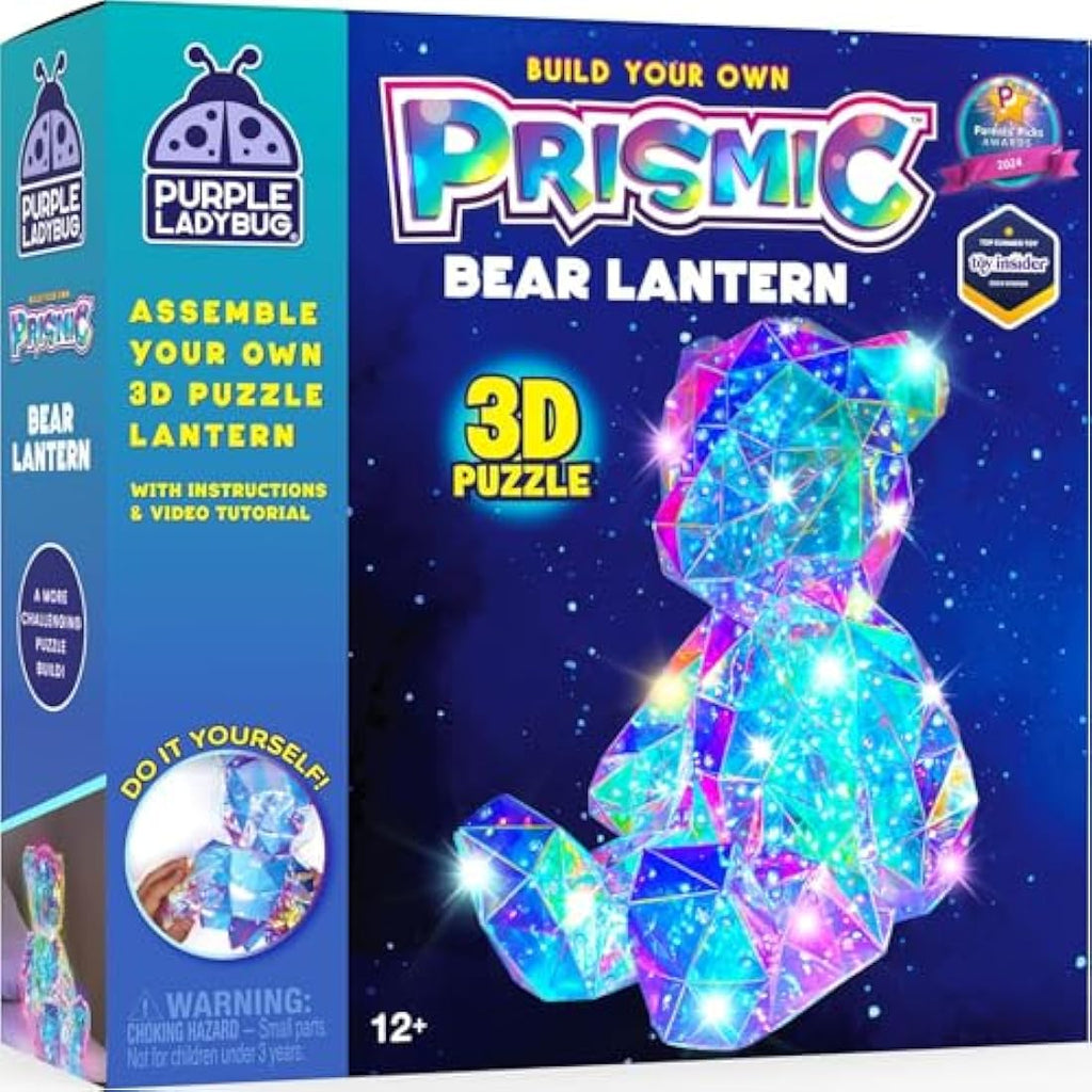 Purple Ladybug Prismic 3D Light Up Bear Craft Kit - DIY LED Lantern