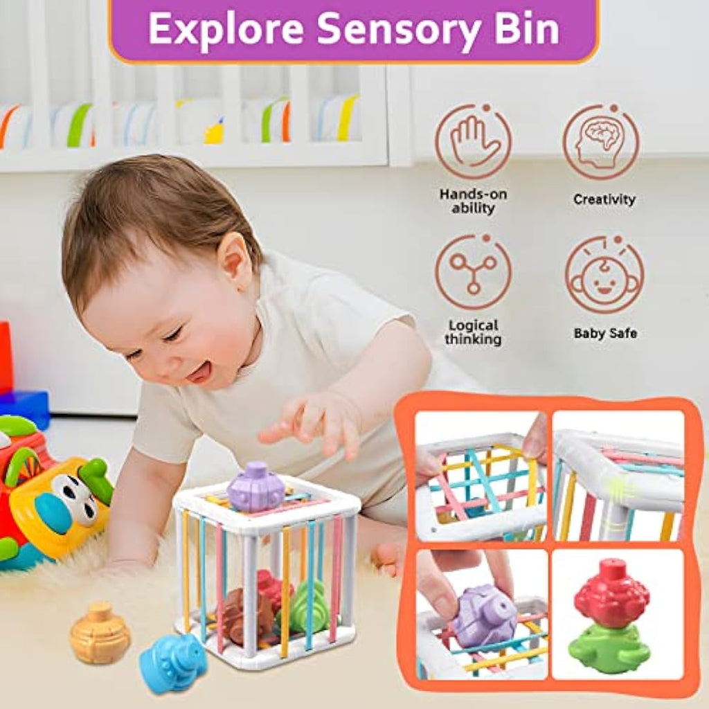 6-in-1 Montessori Baby Sensory Toys & Teething Set (6-12 Months)