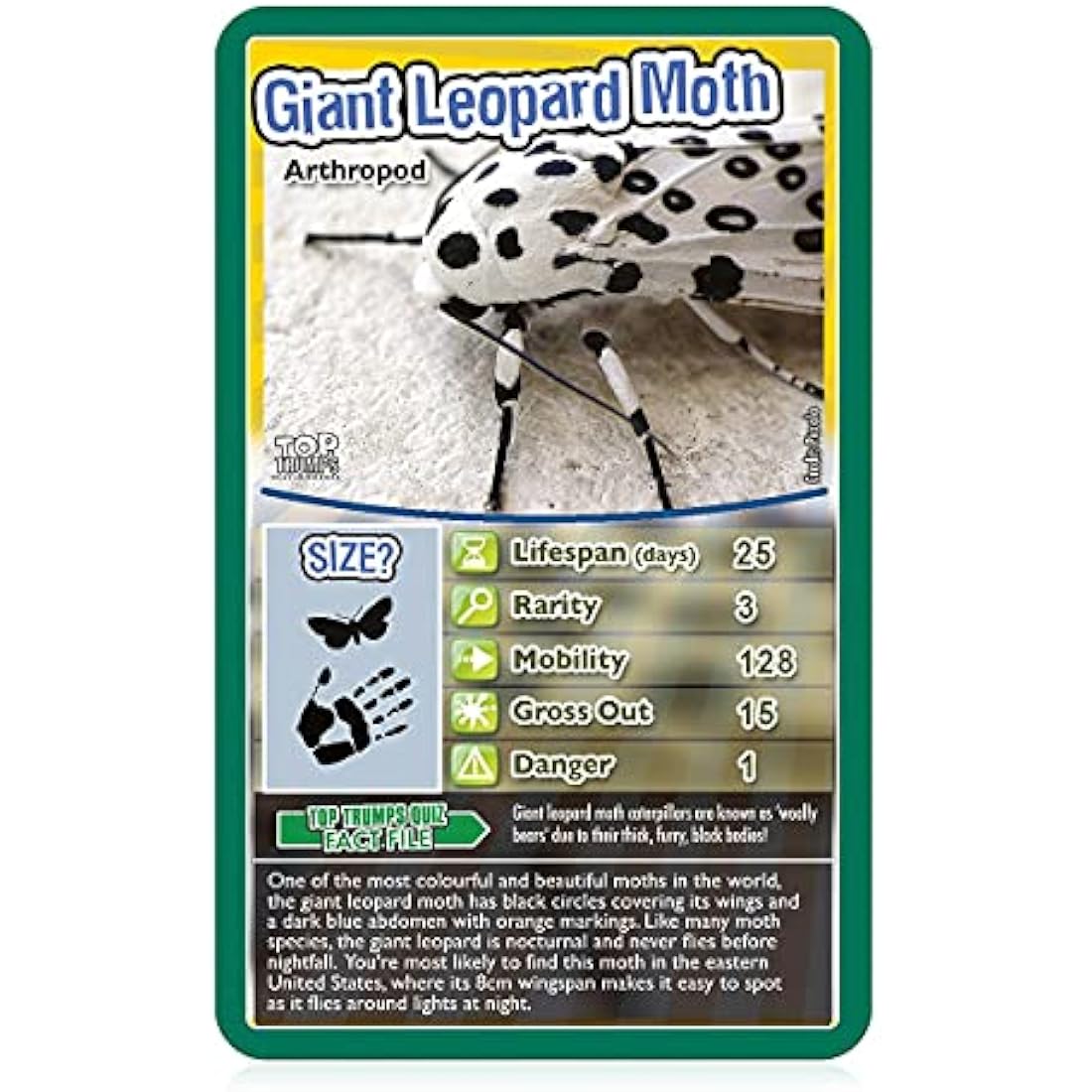 Top Trumps Bugs Card Game | Educational Nature Toy for Kids Ages 6+