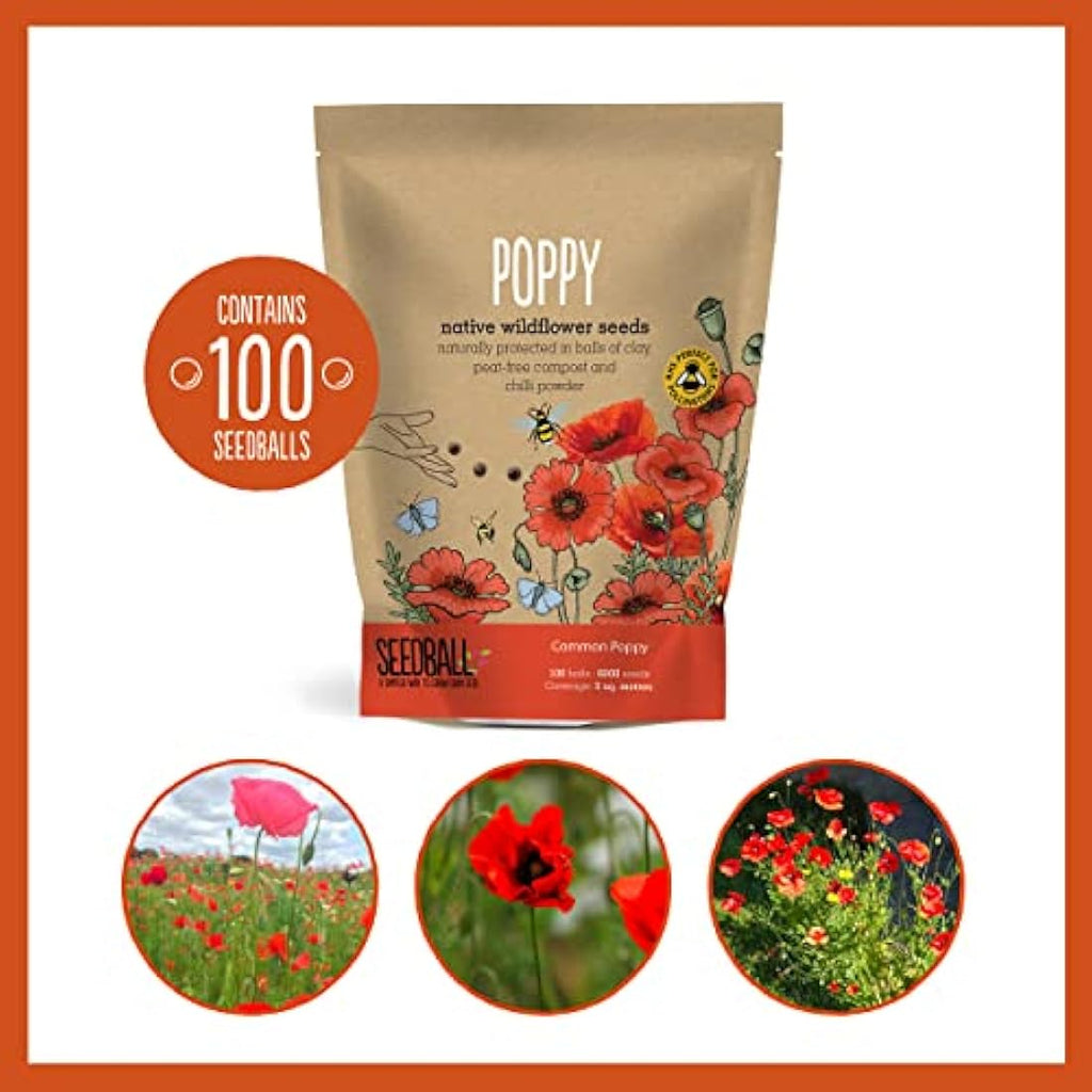 Seedball Red Poppy Seed Bombs – 100 Pack Peat-Free Wildflower Seeds