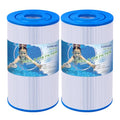 TOREAD Hot Springs Spa Filters - Watkins 31489 Replacement - 2 Pack