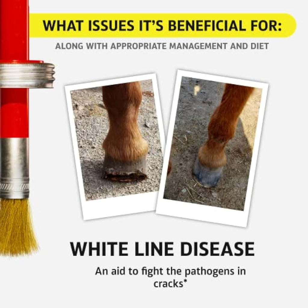 Hoof Doctor All-Natural Hoof Care with Birch Bark Extract - 16 Oz