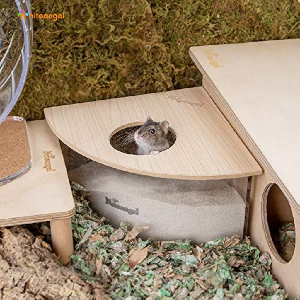 Niteangel Acrylic Hamster Sand Bath Box – Fan-Shaped Digging Container
