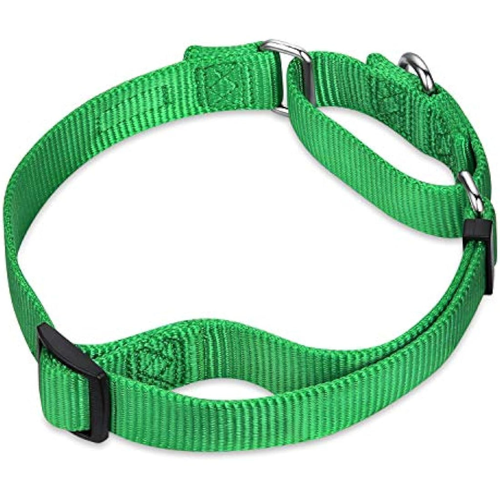 Hyhug  Martingale Nylon Dog Collar – Large, Lime Green