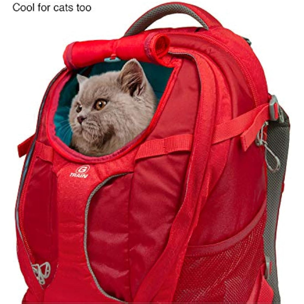Kurgo G-Train Dog Carrier Backpack - Waterproof Hiking Pack in Chili Red