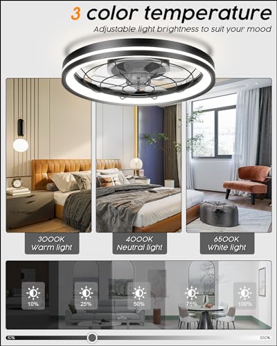 Airwit 48cm Silent Ceiling Fan with Light | Dimmable DC Motor & Remote
