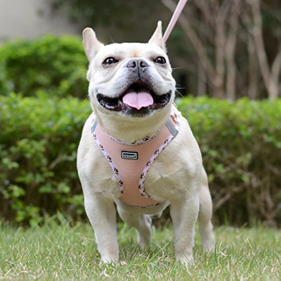 DORAMIO Step-in Dog Harness and Leash Set | Reflective Mesh Vest – XXS
