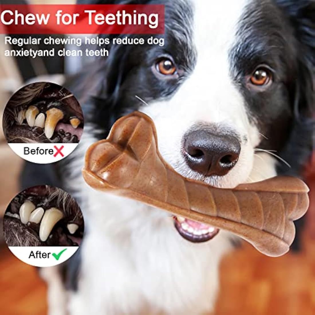 Indestructible Dog Chew Toy – Beef Flavor Durable Nylon