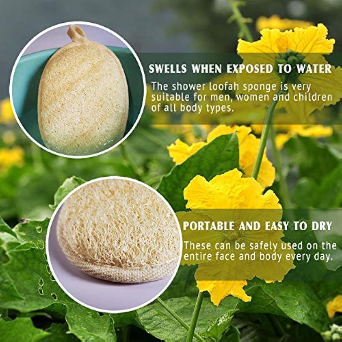 Natural Loofah Sponge Exfoliating Body Scrubber – 3 Pack
