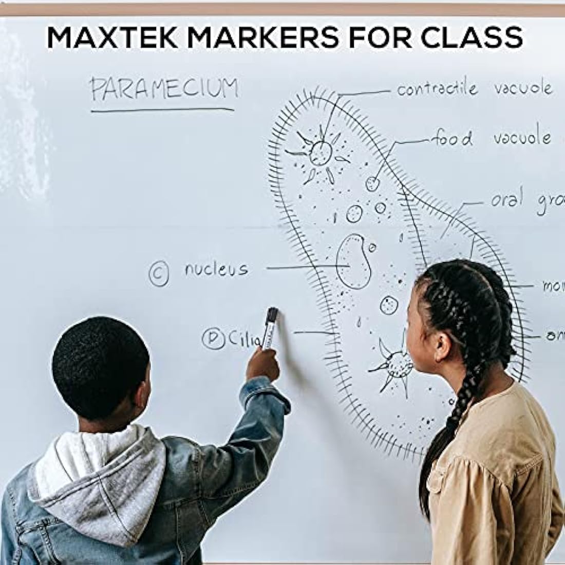 Maxtek Black Whiteboard Markers – 12 Pack Bullet Tip Dry Erase Pens