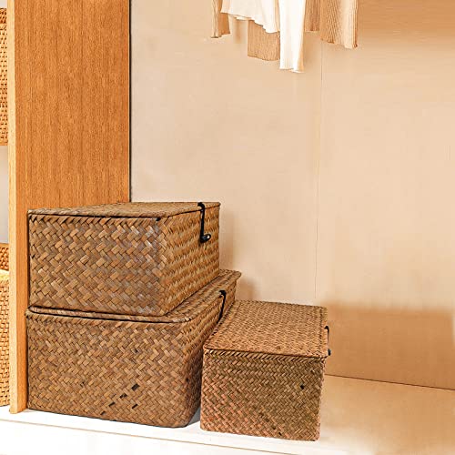 Jolof Store Seagrass Woven Storage Baskets with Lids - 3-Piece Set