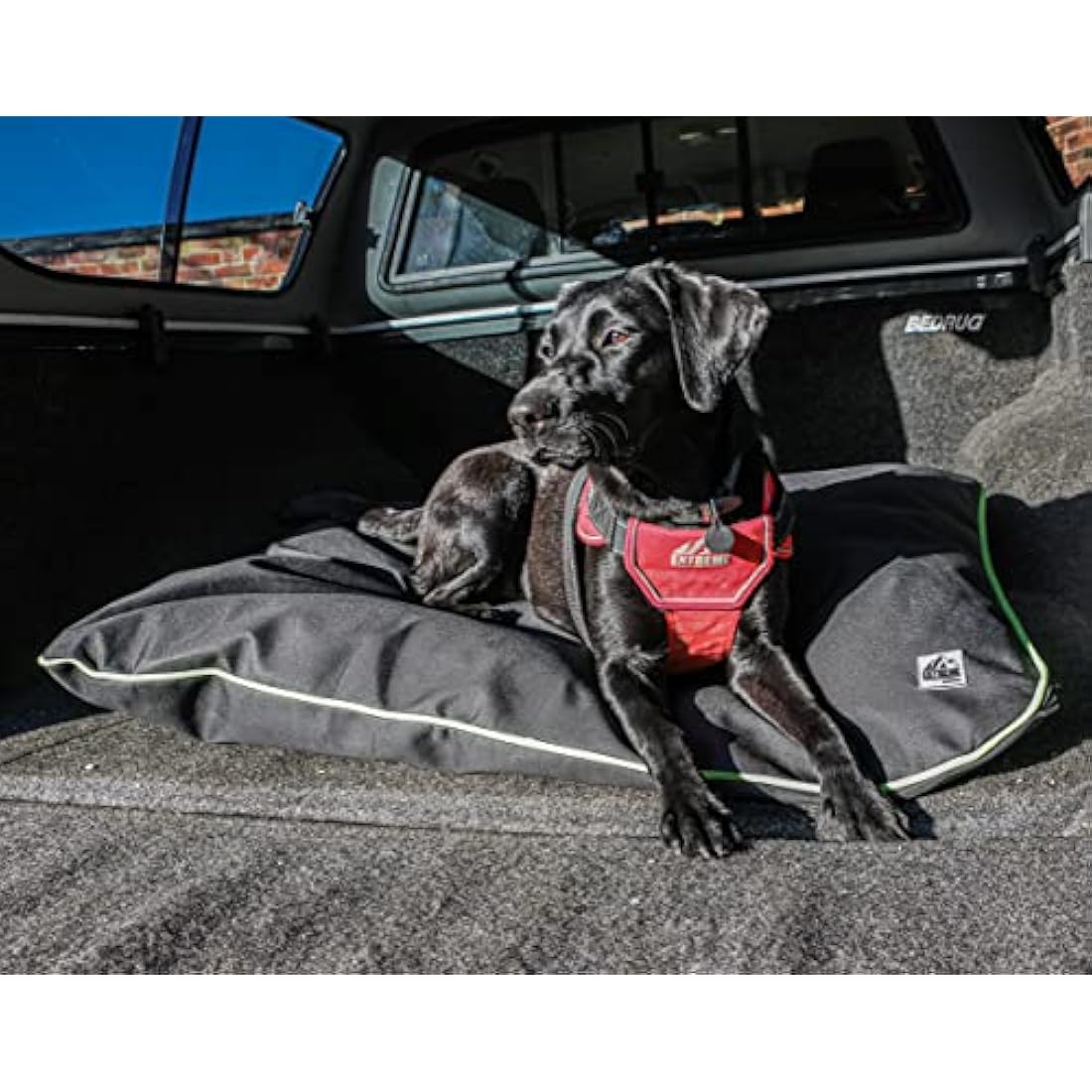 Ancol Extreme Heavy Duty Dog Harness – Padded Mesh & Handle, Red, XL