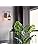 LULING Vintage Glass Wall Sconce – 2-Pack Industrial Black Metal Lights