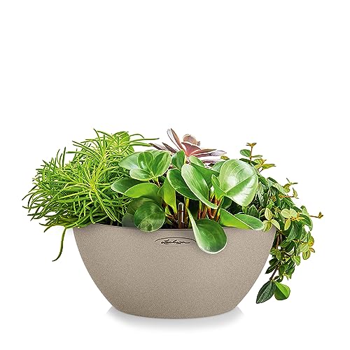 Lechuza Cubeto Stone 40 Self-Watering Planter - Sand Beige