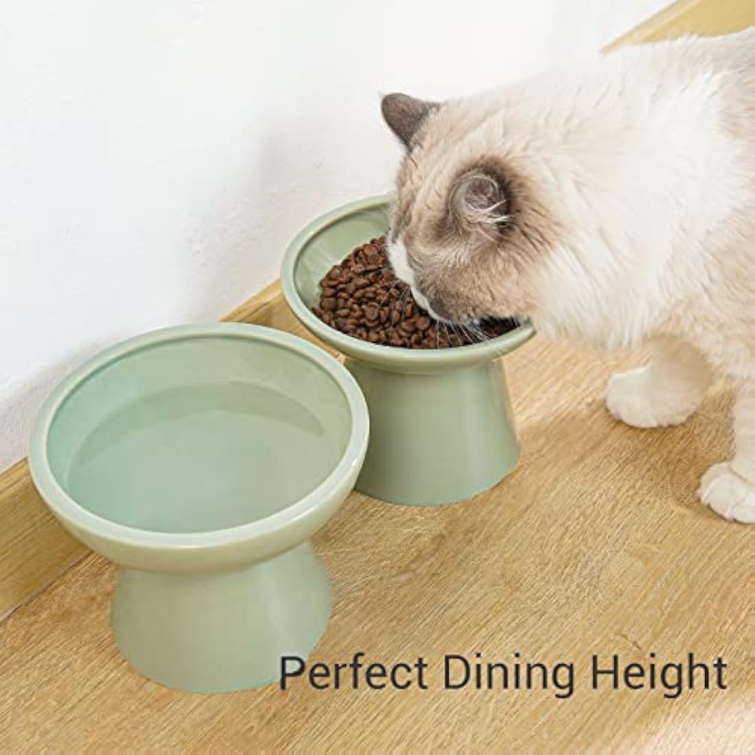 CEEFU Elevated Ceramic Cat Bowls | Wide Whisker Fatigue Relief - Sage Green