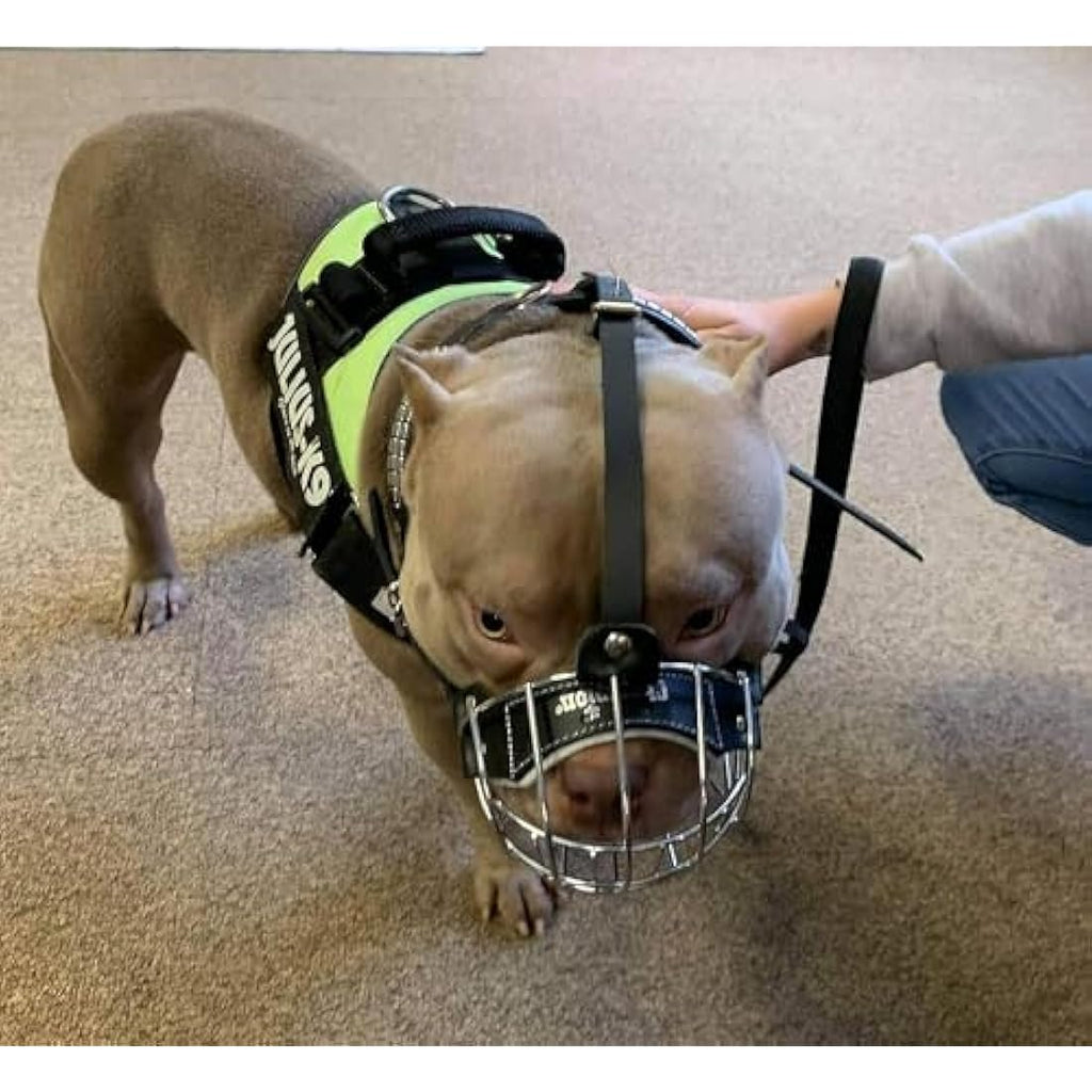 Jolof Store Metal Wire Basket Dog Muzzle for American Bully – Black Leather