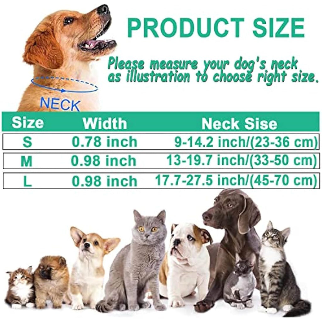 Reflective Dog Collar – Padded Durable Nylon Pet Collar