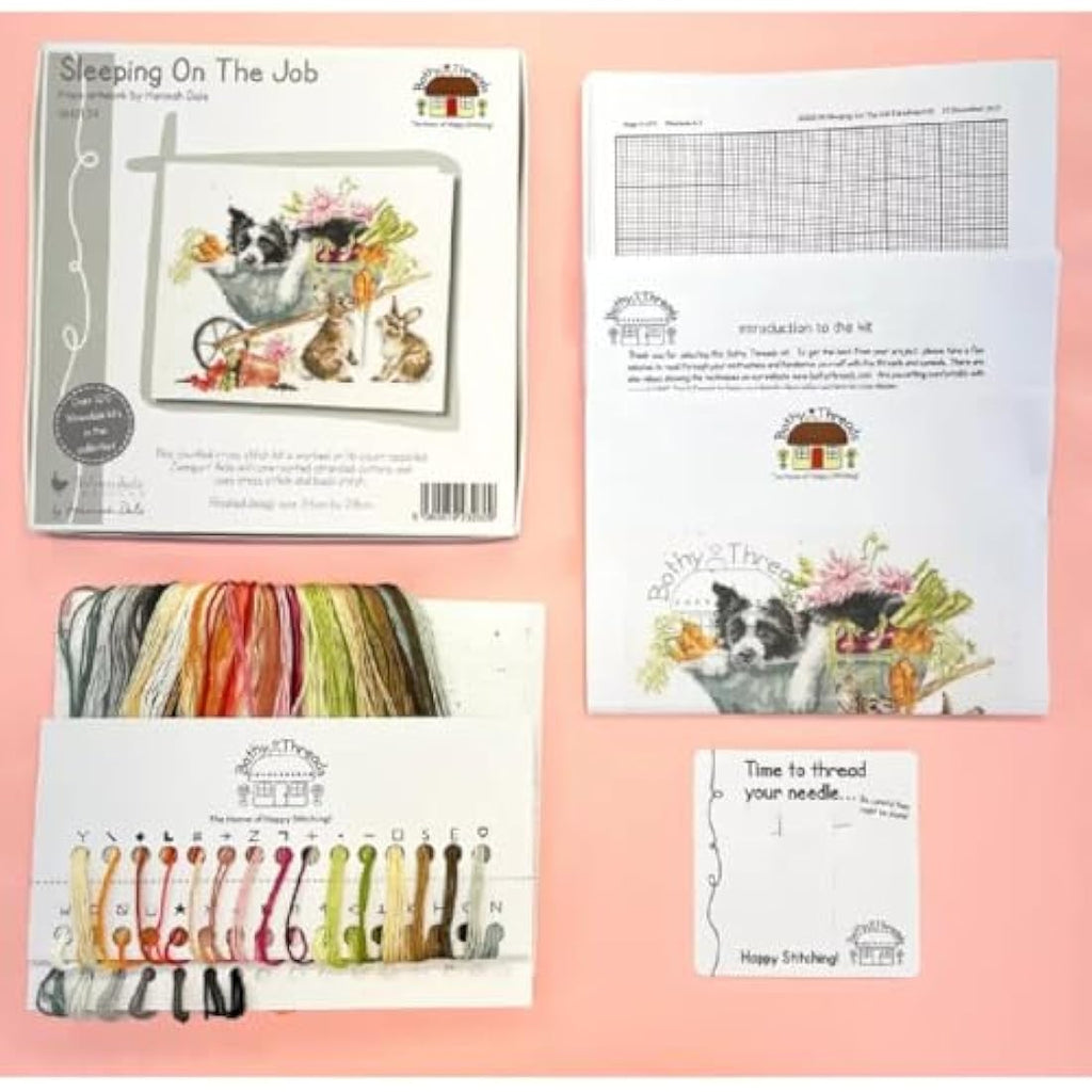 Bothy Threads Sleeping On The Job Counted Cross Stitch Kit | 16 Count