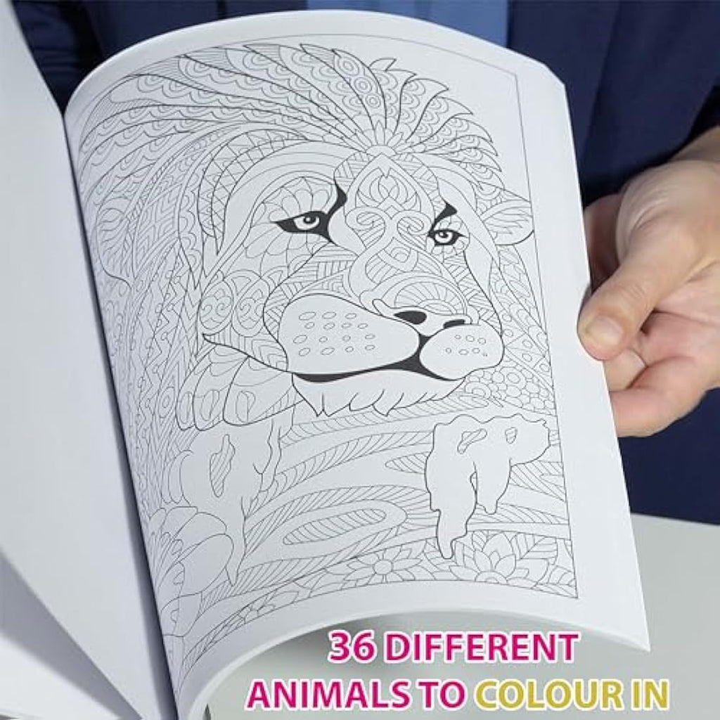 Marvin's Magic Art Bundle – Sketchbook, Colouring Book & 25 Magic Pens