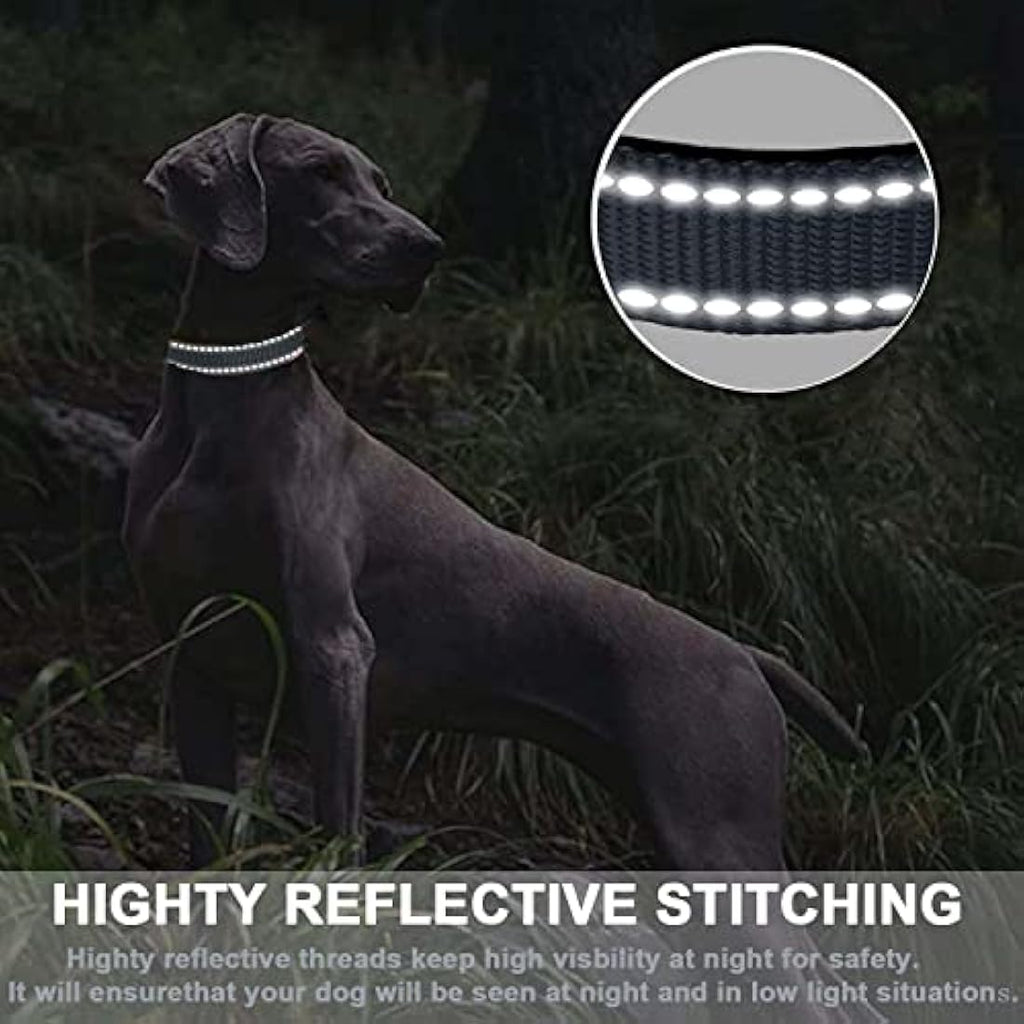 Reflective Dog Collar – Padded Durable Nylon Pet Collar