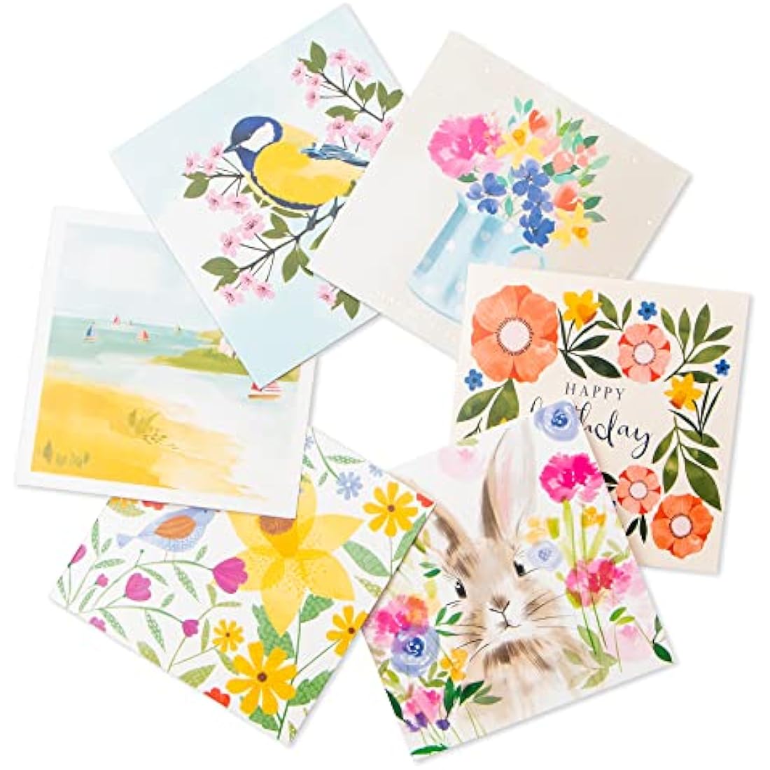 Jolof Store Marie Curie Charity Greeting Cards - 36 Pack Bundle