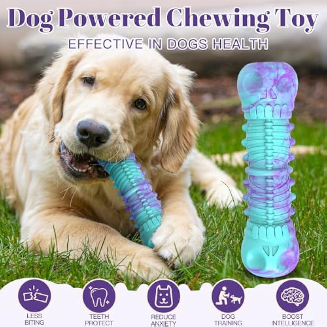 HETOO Indestructible Dog Chew Toy – Durable Rubber Squeaky Bone