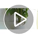 Mkono Artificial Pothos Plant in 4" White Ceramic Pot – 11" Faux Greenery