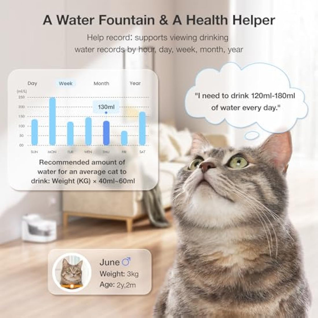 PETGUGU Smart Cat Water Fountain – 2L Automatic WiFi Pet Dispenser