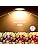 Wondlumi 4-Pack Fire Rated GU10 Downlights | White Recessed Ceiling Lights