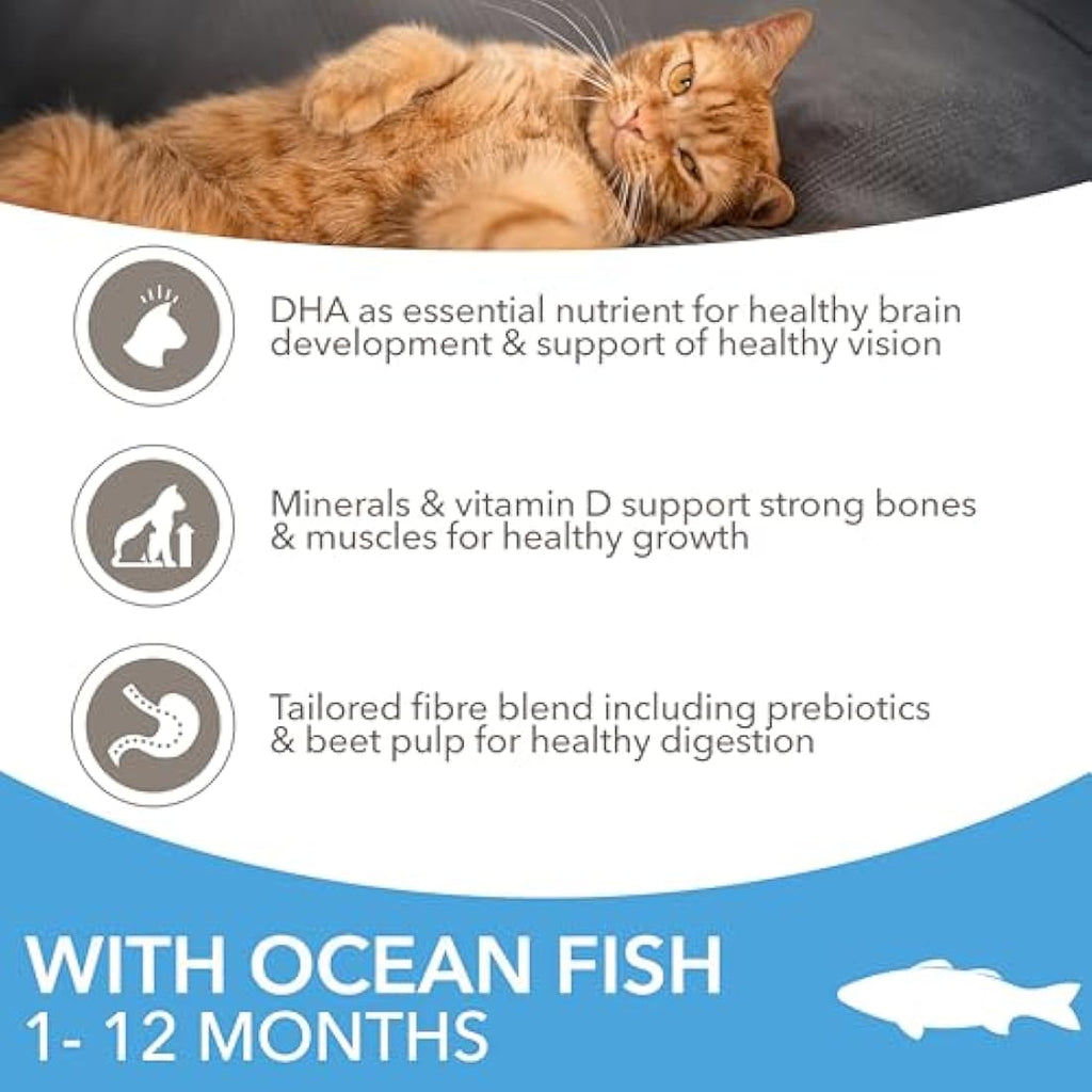 IAMS Kitten Dry Cat Food – Ocean Fish High Protein Formula 10kg