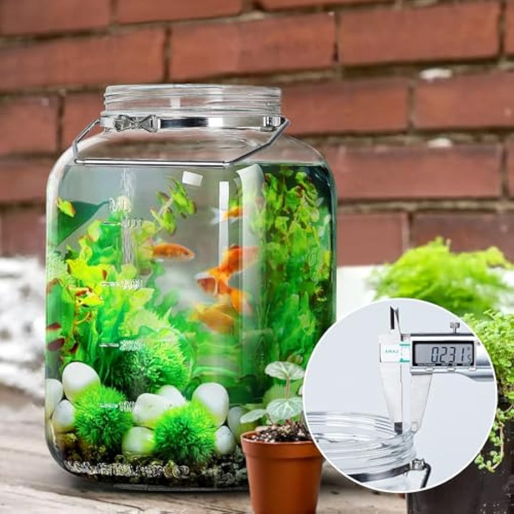 Absovetu 2 Pack Large 5.7L Glass Storage Jars with Airtight Lids