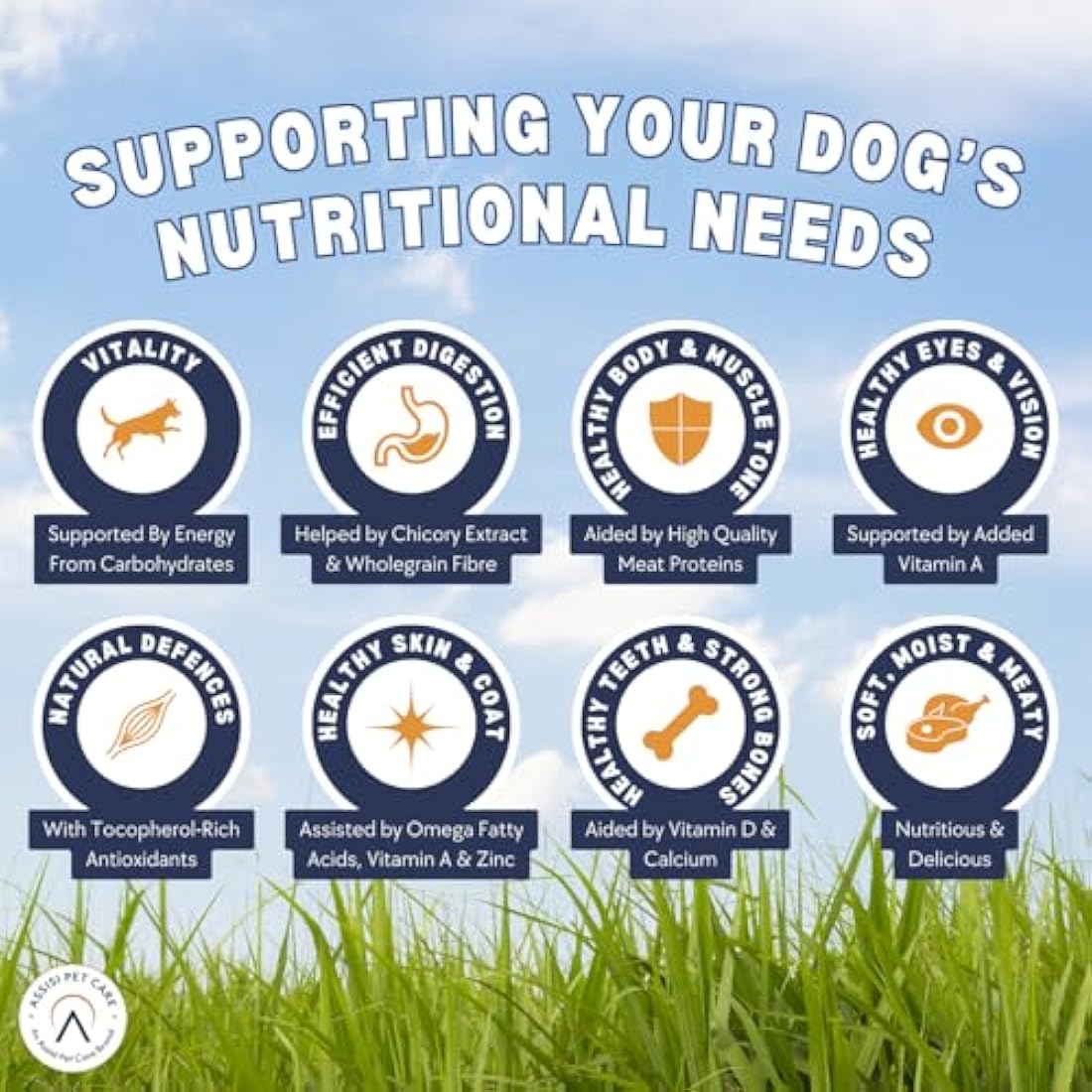 HiLife Feed Me! Dry Dog Food – Turkey, Chicken & Bacon – 6kg