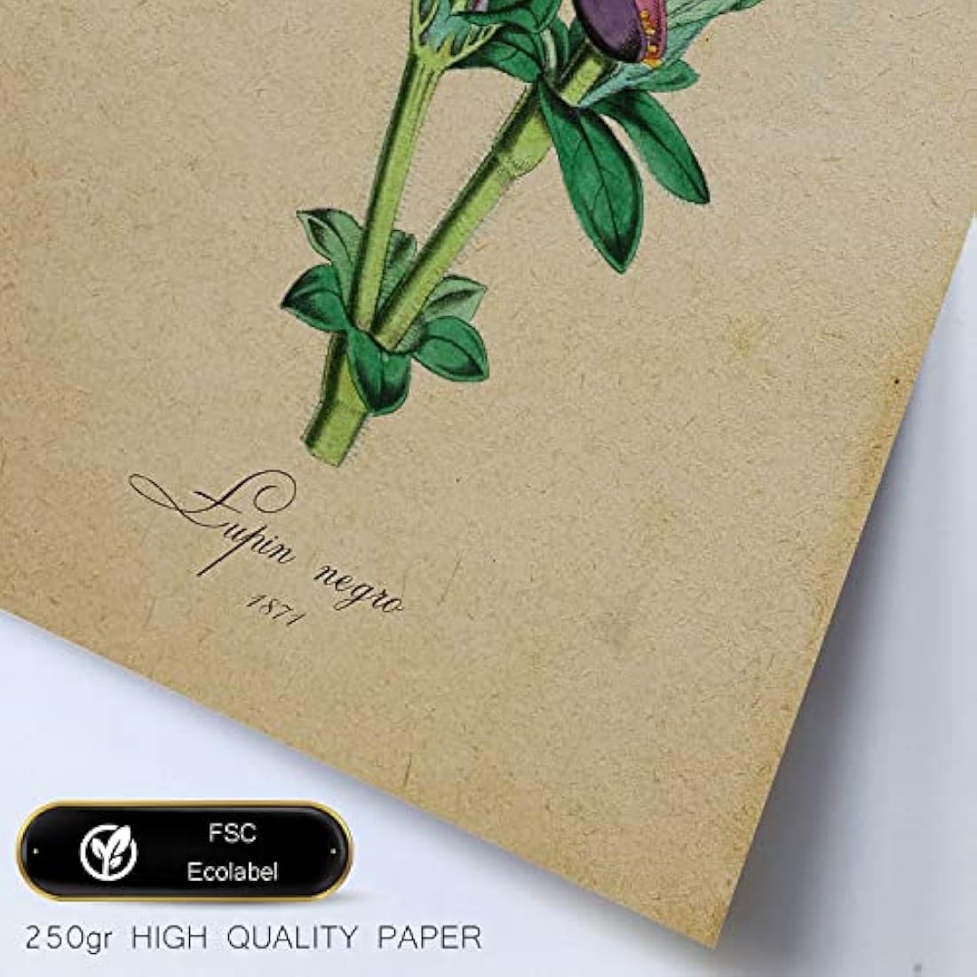 Nacnic Vintage Flower Posters | Set of 6 Framed Botanical Wall Art