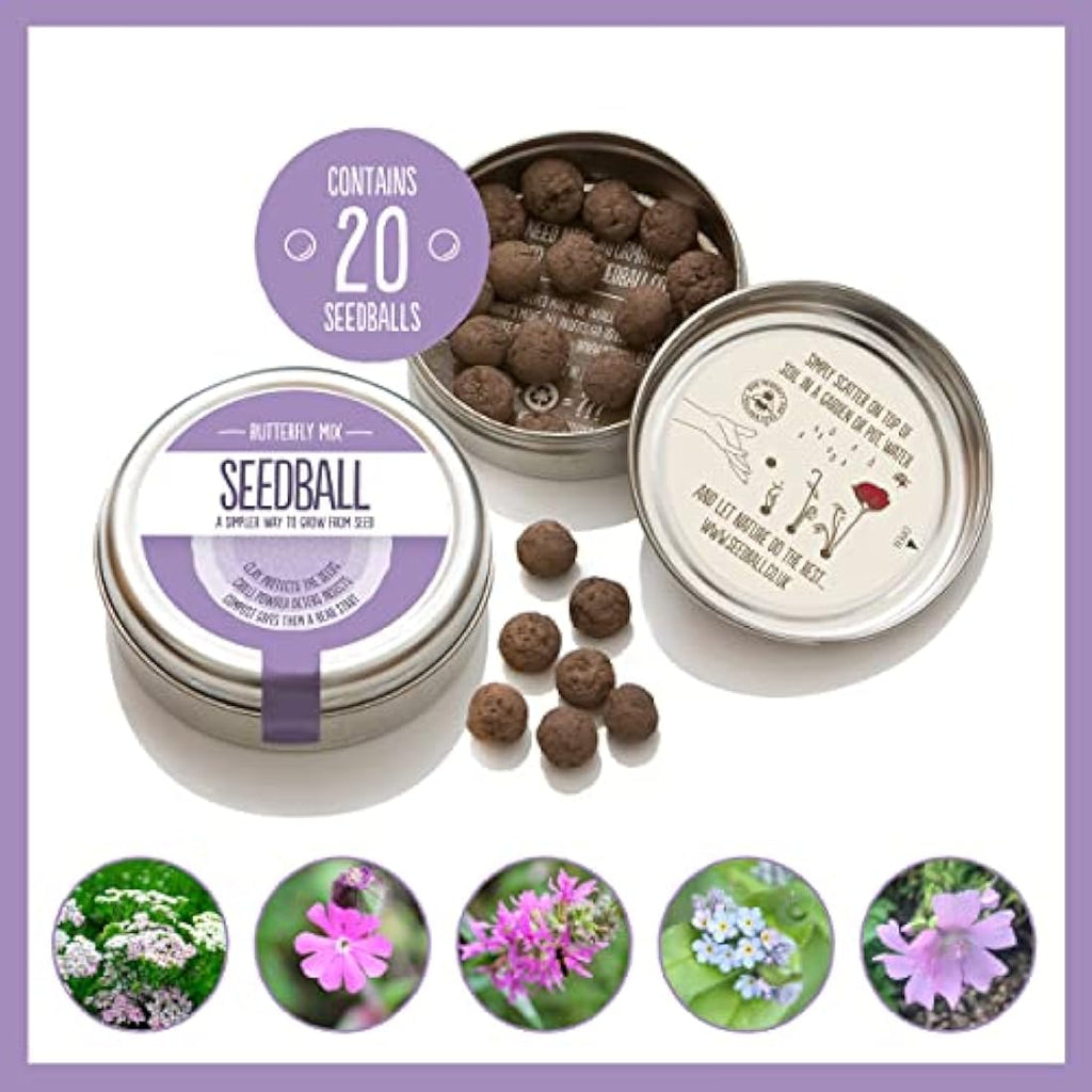 Seedball Butterfly Mix Wildflower Seed Bombs - 20 Pack Eco-Friendly Tin