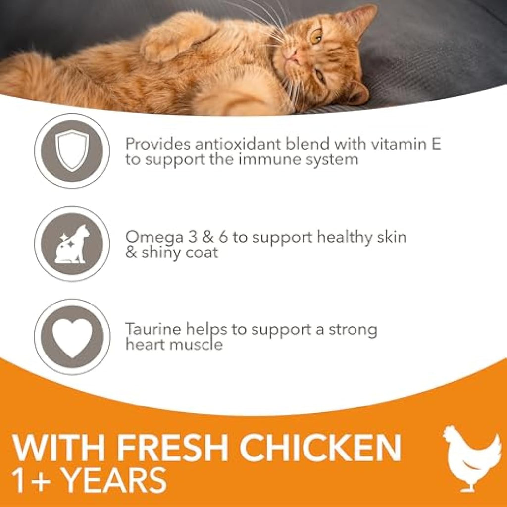 IAMS Adult Dry Cat Food Chicken 10kg – Immune Support & Healthy Skin