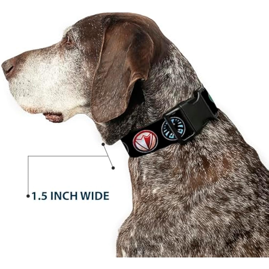 Buckle-Down Marvel Avengers Dog Collar – Large 1.5" Wide Plastic Clip
