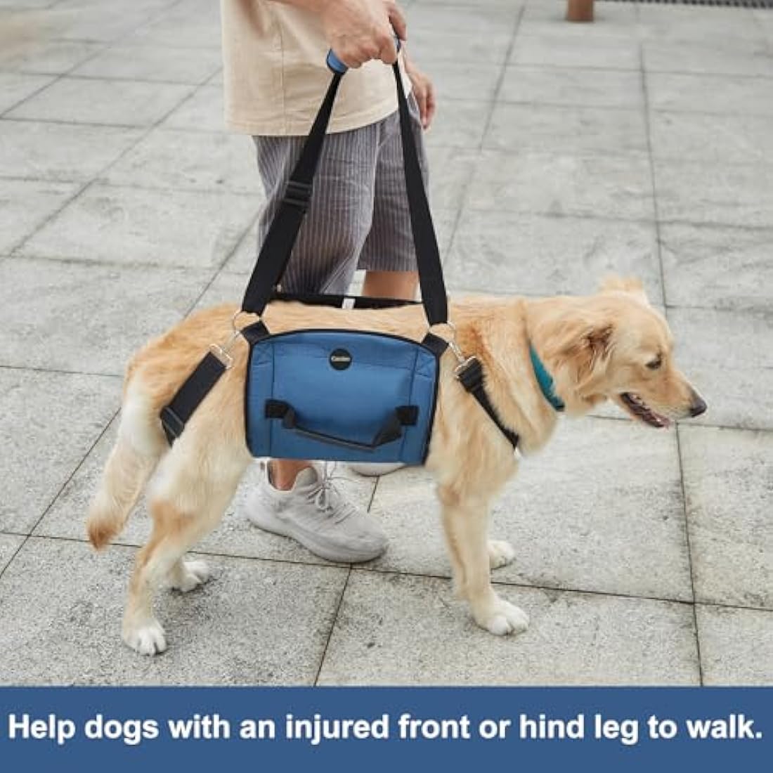 Dog Carry Sling – Full Body Support Lift Harness, Blue, XL